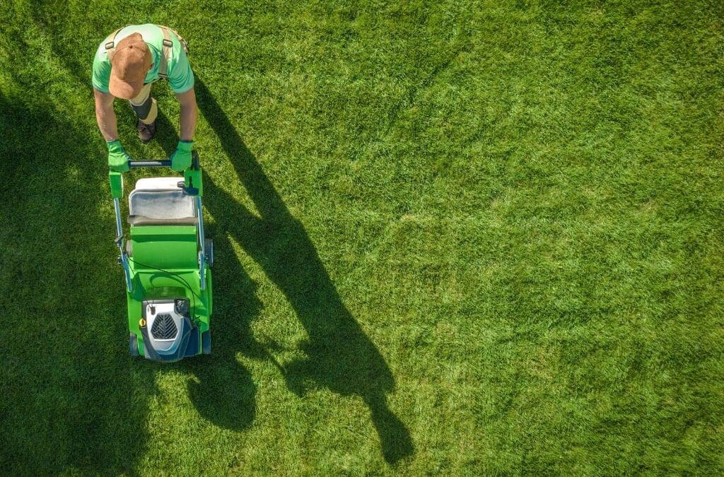 Freshly mowed lawn with clean stripes